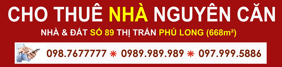 Cho thuê 2 căn nhà mặt tiền phố chợ Phú Long rộng 10m dài 58m giá siêu rẻ 6triệu9/tháng